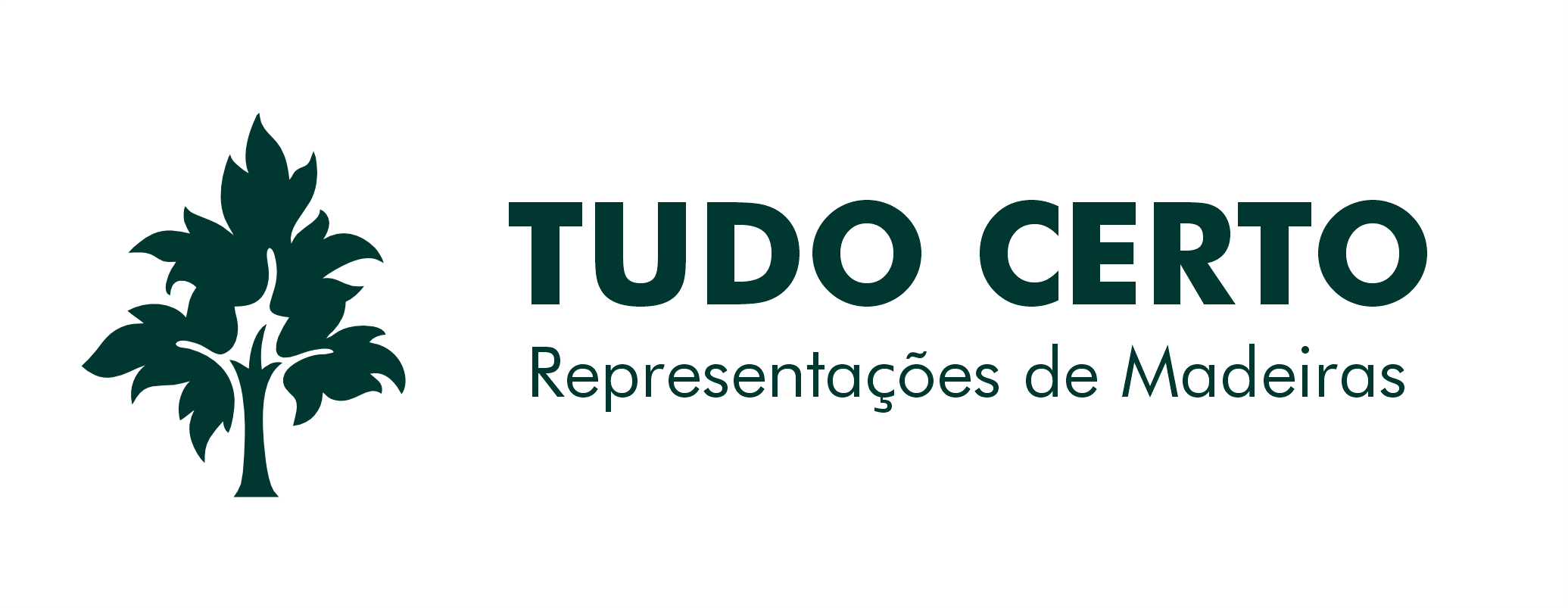 Tudo Certo Representacoes